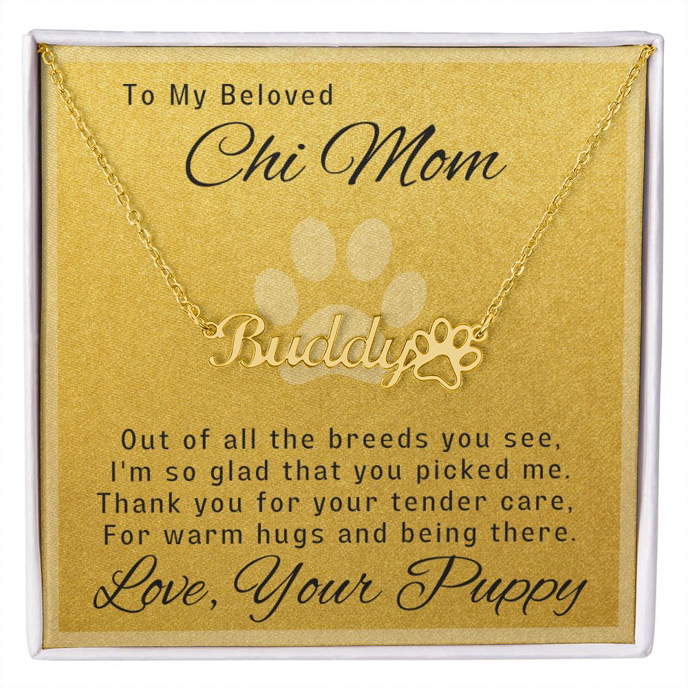 So Glad You Picked Me - Personalized Gift For Chihuahua Mom - Chihuahua Treats