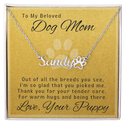 So Glad You Picked Me - Personalized Gift For Dog Mom - Chihuahua Treats