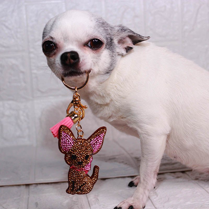 Trendy Bag Accessories For Chihuahua Lovers - Chihuahua Treats