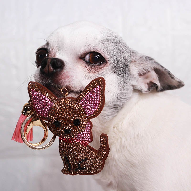Trendy Bag Accessories For Chihuahua Lovers - Chihuahua Treats